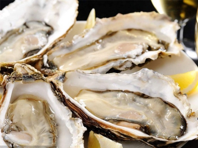 关于牡蛎你该知道的8件事情！